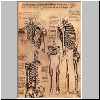 Studie von Skeletten.html